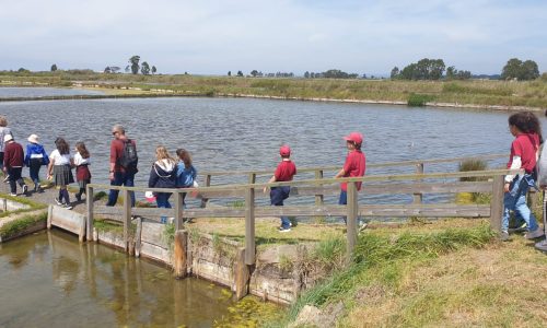 Notícia 4 - Fotografia 03