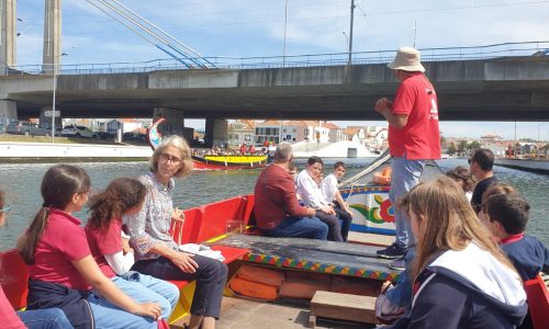 Notícia 4 - Fotografia 04